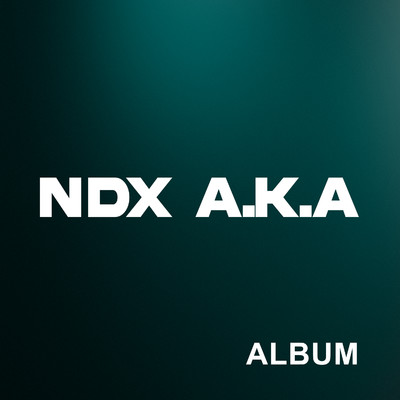 アルバム/NDX A.K.A./NDX A.K.A.