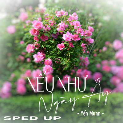 Neu Nhu Ngay Ay (Sped Up)/Yen Munn