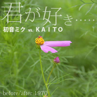 シングル/君が好き…(feat.KAITO)/before／after 1970