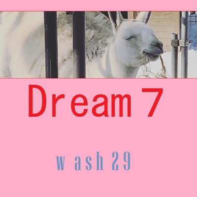 Dream7/wash29
