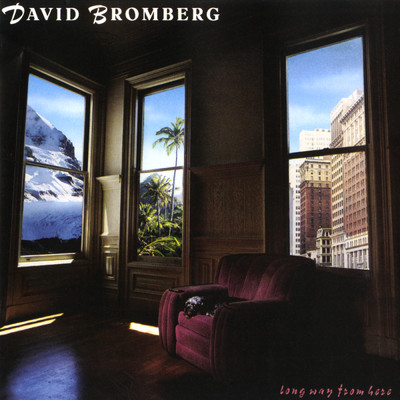 Long Way From Here/David Bromberg