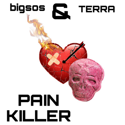 シングル/PAIN KILLER (feat. TERRA)/bigsos