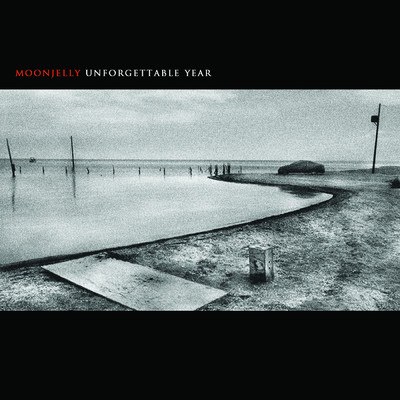 Unforgettable Year/Moonjelly