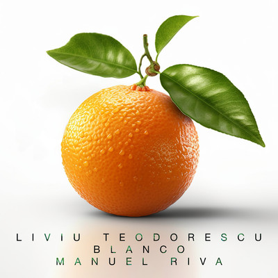 Liviu Teodorescu／BLANCO／Manuel Riva