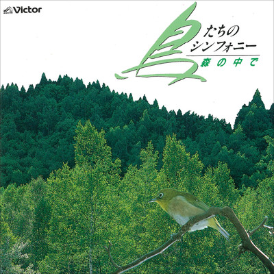鳥たちのシンフォニー／日本の野鳥 - 森の中で/自然音