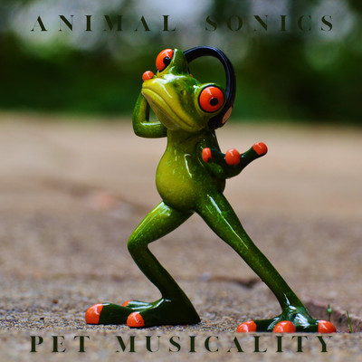 Animal Sonics/Pet Musicality