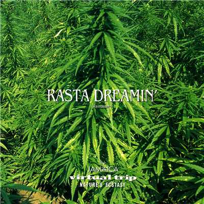 アルバム/Virtual Trip NATURE'S ECSTASY ”RASTA DREAMIN'” Remasterd/Virtual Trip