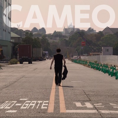 CAMEO/NO-GATE
