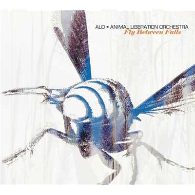 Fly Between Falls/ALO (Animal Liberation Orchestra)