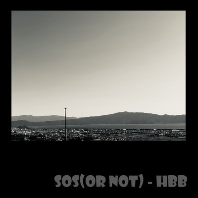 アルバム/SOS(or not)/Harry Billie Bieber