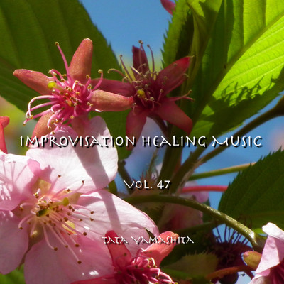 Improvisation Healing Music Vol.47/Tata Yamashita