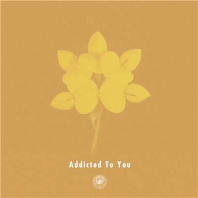 シングル/Addicted To You (feat. Nao Kawamura)/AmPm