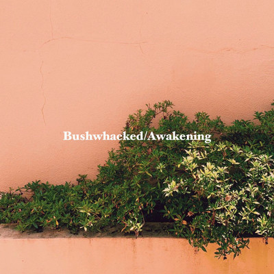 アルバム/Bushwhacked ／ Awakening/Not SAVING