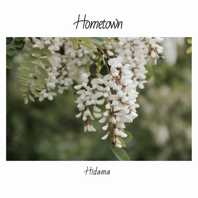 アルバム/Hometown/Hidama