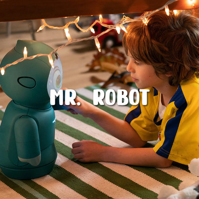 Mr.Robot/Shin Hong Vinh／LalaTv