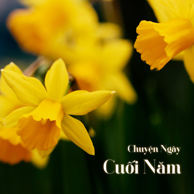 Chuyen Ngay Cuoi Nam/Phuong Nhi