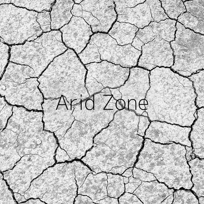 アルバム/Arid Zone/PLAYLAND 0