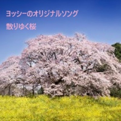 散りゆく桜/ヨッシーのオリジナルソング