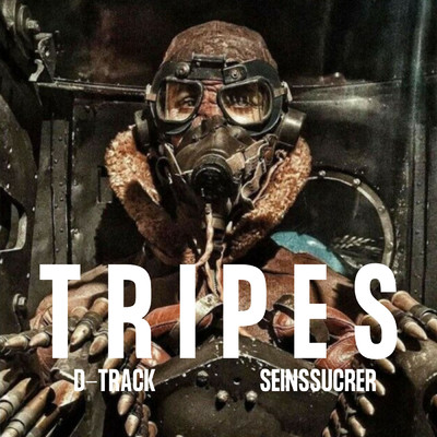 シングル/Tripes/D-Track／SeinsSucrer