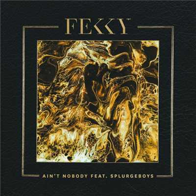 シングル/Ain't Nobody (featuring Splurgeboys)/Fekky