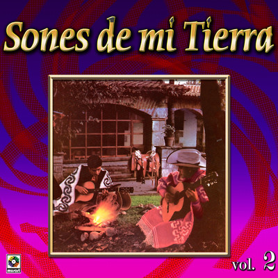 Coleccion De Oro: Sones De Mi Tierra, Vol. 2/Various Artists