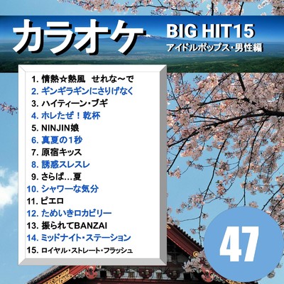 アルバム/カラオケ BIG HIT 15 アイドルポップス・男性編 47/CTA カラオケ