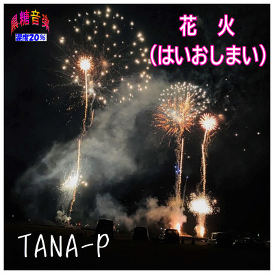 シングル/花火、はいおしまい (Acoustic Ver.)/TANA-P