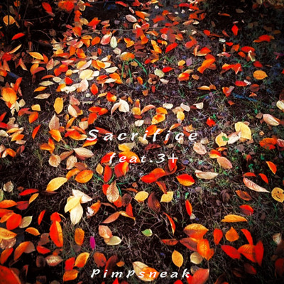 Sacrifice (feat. 3+)/Pimpsneak