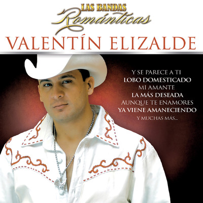 Las Bandas Romanticas/Valentin Elizalde