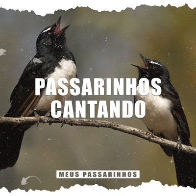 アルバム/Passarinhos Cantando/Meus Passarinhos