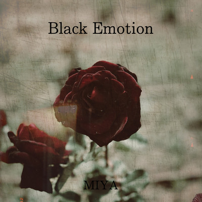 シングル/Black Emotion/ミヤ