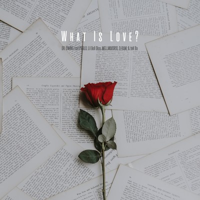 What Is Love/DR. SWING