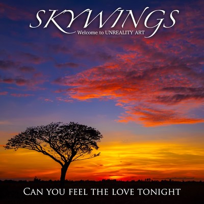 Can you feel the love tonight (Cover)/SKYWINGS