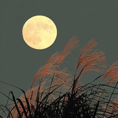 シングル/Moonlit Susuki/BiG sea Music
