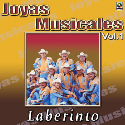 Joyas Musicales: Dedicadas A Ustedes, Vol. 1/Grupo Laberinto