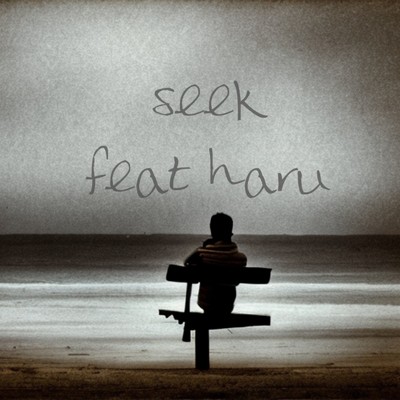 Seek (feat. 8ru)/Buddy-Buddy