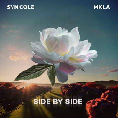 Side By Side/Syn Cole & MKLA