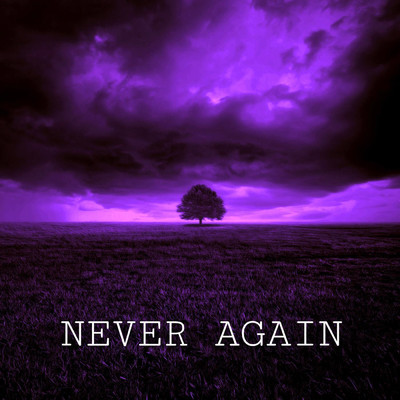 Never Again/Janmarcos