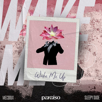 シングル/Wake Me Up/Mecdoux & sleepy dude