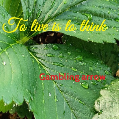 To live is to think/Gambling arrow