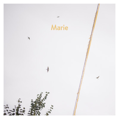 アルバム/Marie/AnnenMayKantereit