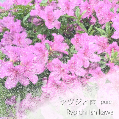 ツツジと雨(pure)/Ryoichi Ishikawa