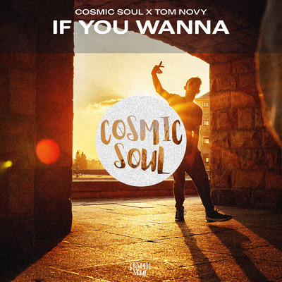 アルバム/If You Wanna/Cosmic Soul／Tom Novy