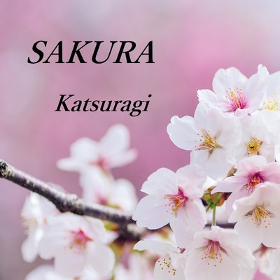 シングル/SAKURA/Katsuragi