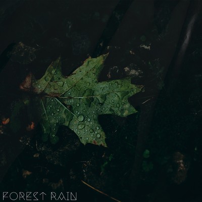 Rain in Window/Forest Sounds, Sounds of Nature Noise & Rain Sounds & Nature Sounds