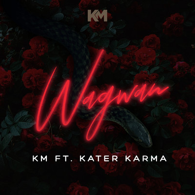 シングル/Wagwan (featuring Kater Karma／Instrumental)/KM