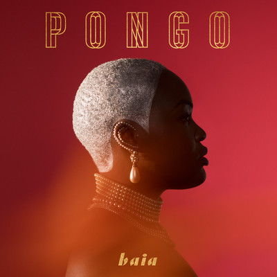 アルバム/Baia/Pongo