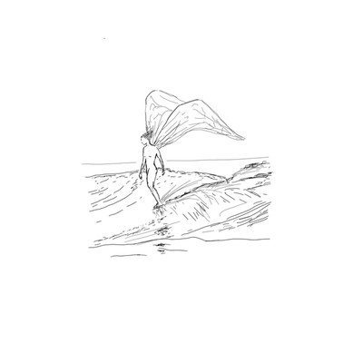 シングル/wings/Shimon Hoshino
