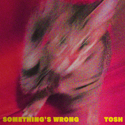 Something's Wrong -EP-/TOSH