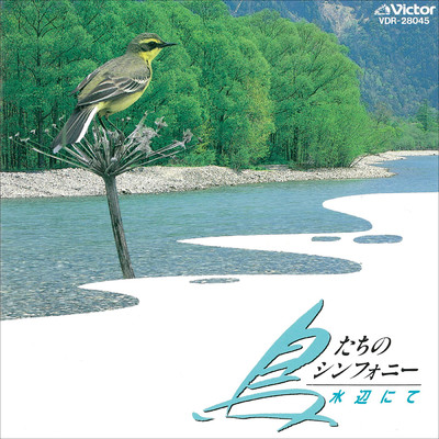 鳥たちのシンフォニー／日本の野鳥 - 水辺にて/自然音